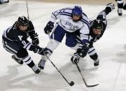 开云体育在线-赛道与球场，速度与韧性的双重奏鸣