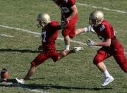 开云APP-卡塔尔节奏掌控尼日利亚，莱万数据全面爆炸—战术解析与数据背后的足球智慧