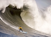 开云平台-尼斯制霸奥地利，加克波关键一击，欧战舞台见证新王崛起