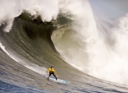 开云平台-尼斯制霸奥地利，加克波关键一击，欧战舞台见证新王崛起
