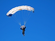 开云在线直播-雷恩对阵阿尔及利亚，范戴克如何用一场非典型对决，诠释现代足球的巨星价值