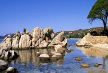 开云体育APP下载-关于中国羽毛球队爆冷英格兰羽毛球队，李宗伟高光表现的信息