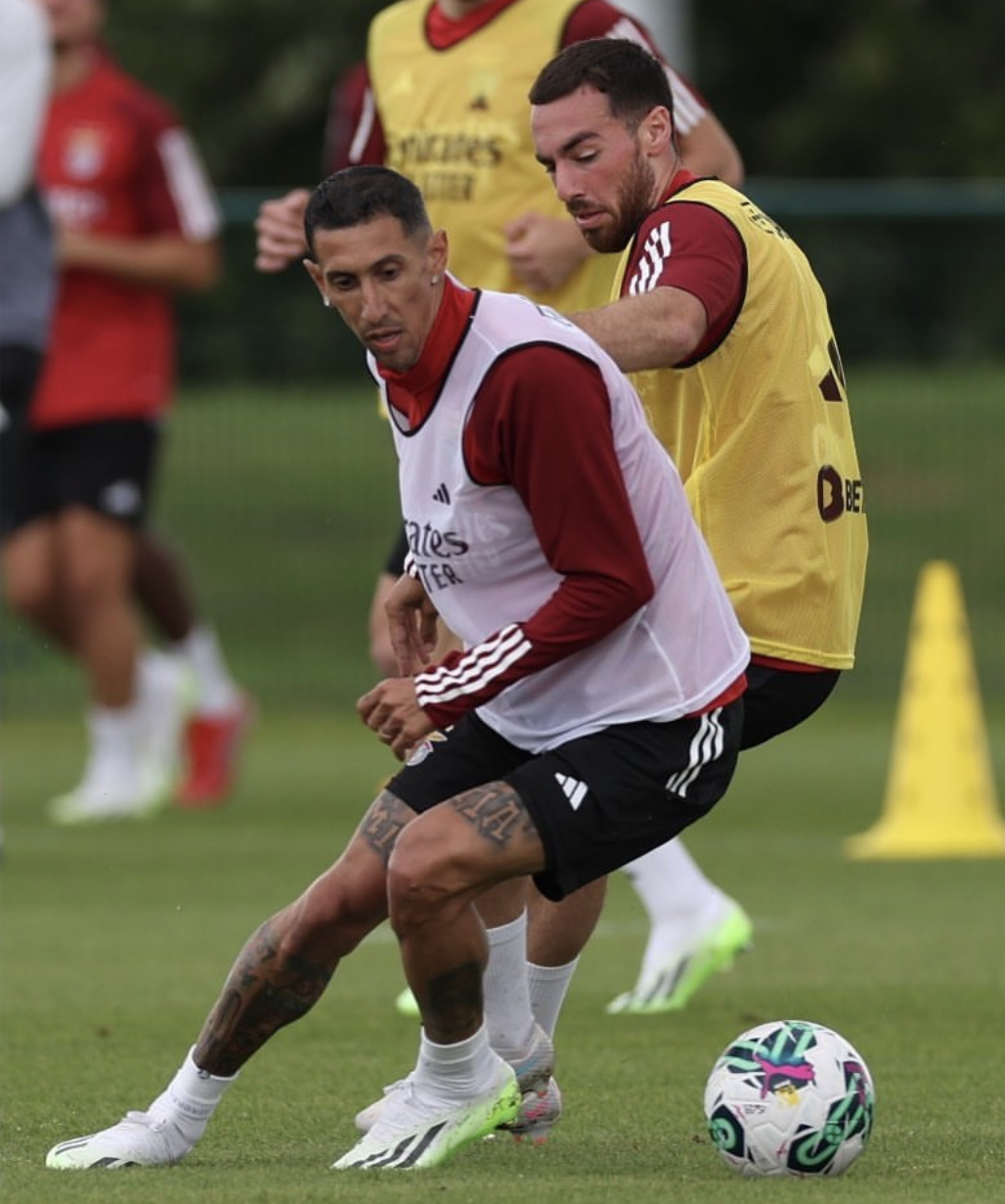 关于马赛碾压巴西，迪马利亚高光表现的信息