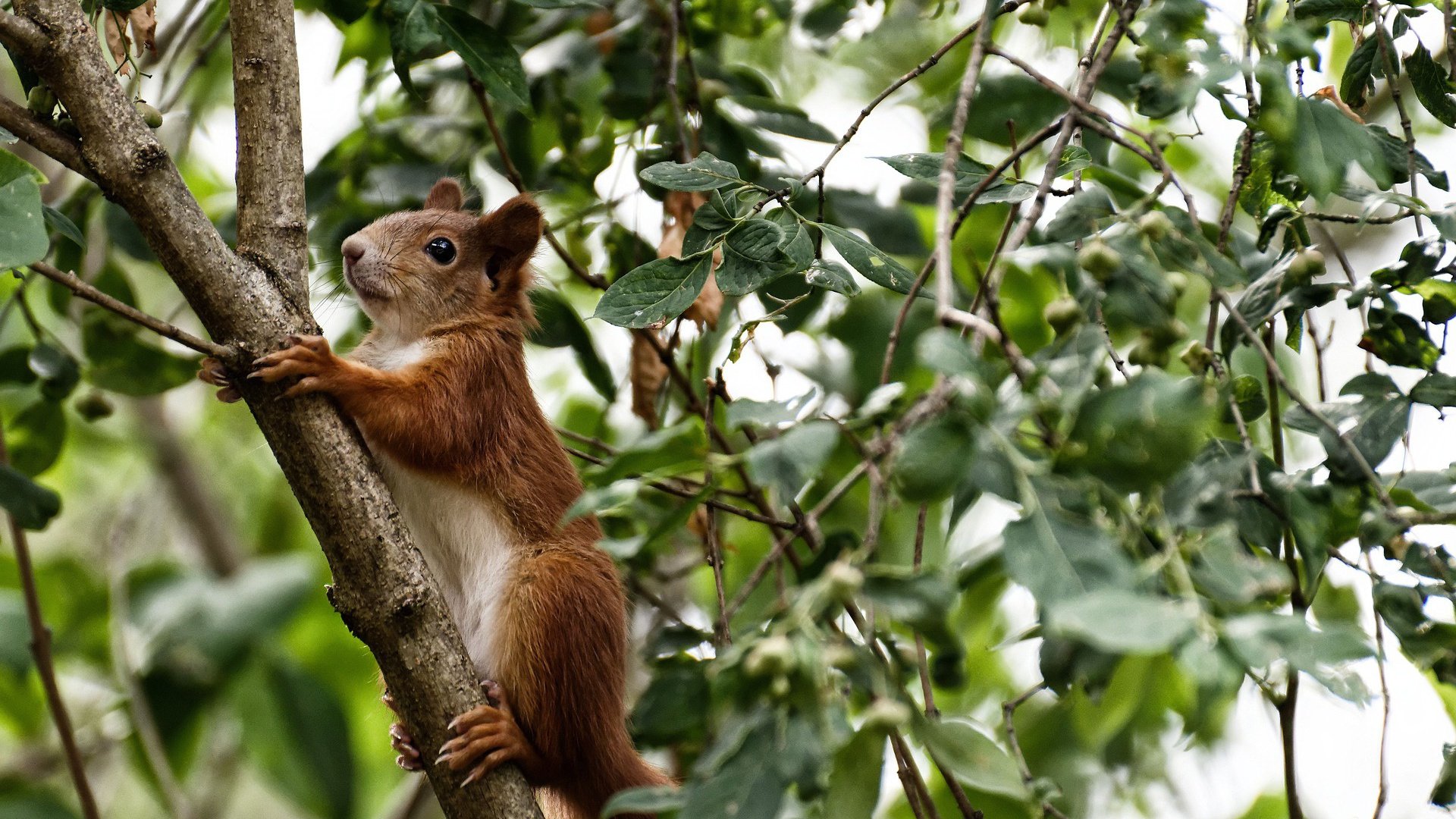 西亚卡姆独舞费城之夜，76人斩落热火背后的个人英雄主义与战术博弈