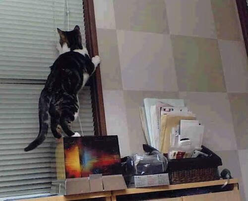 当马赛爆冷曼联遇见内马尔接管NBA总决赛，跨界传奇的平行宇宙