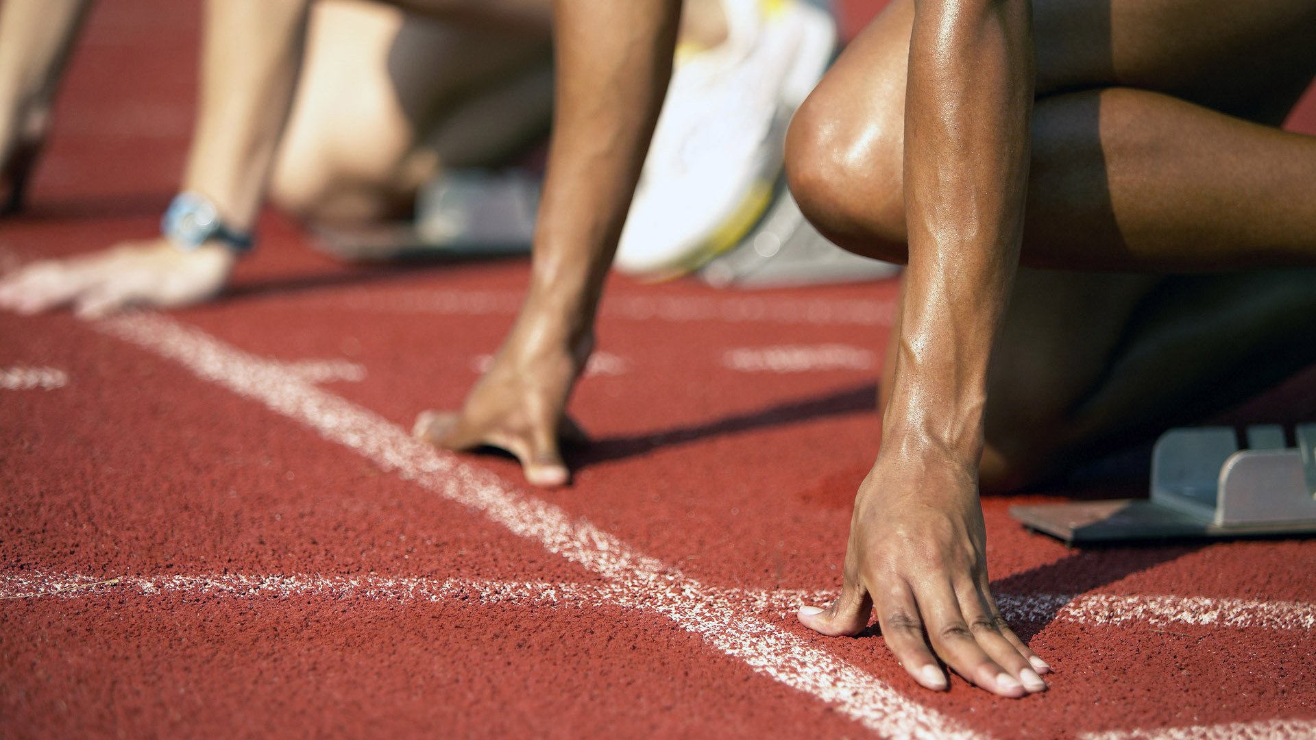 赛道与球场,当霍勒迪接管F1街道赛,太阳横扫辽宁队